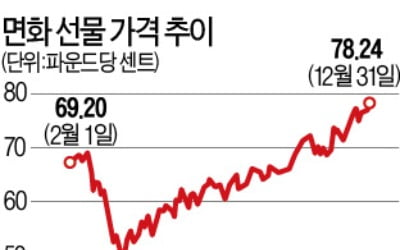 '백신 기대감' 올라탄 연성 원자재…면화·설탕·커피값 뛴다