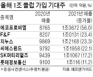 에코프로비엠·F&F·지누스…올 '매출 1조 클럽' 가입하나