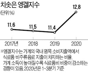 코로나에 늘어난 '집밥족'…엥겔지수 20년 만에 최고