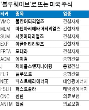 불칸·마틴마리에타·서밋…美 '블루 웨이브' 유망주 뜬다