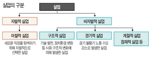 디지털 파도에 떠내려간 월터의 아날로그 일자리…온갖 모험 무릅썼지만 구조적 실업 피할 수 없는 현실