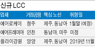 비행기 띄우기도 전에…신규 LCC, 생존 시험대