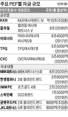 활황장에 웃지 못하는 PEF…"자금회수 기회? 매물 값도 치솟네"