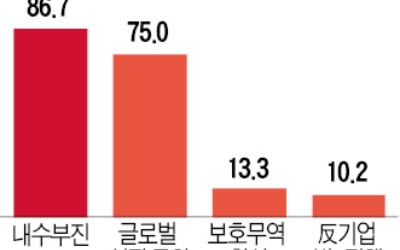 中企 CEO 10명 중 9명 "올해도 국내 경기 암울"