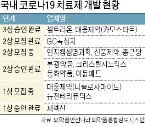 국산 코로나 치료제 상용화 눈앞…10여 개 제품 각축전 예상