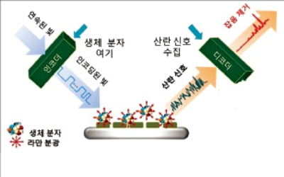 잡음 쏙 빼주는 통신기술로 치매·파킨슨병 등 조기진단