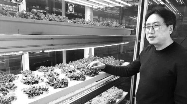 강대현 팜에이트 사장이 서울지하철 상도역의 스마트팜에서 재배하고 있는 채소의 발육 상태를 살펴보고 있다. 안대규 기자 