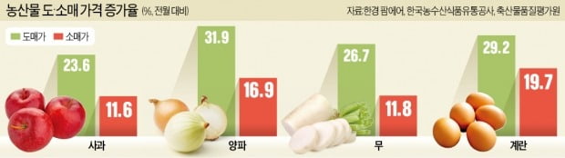 30% 뛴 채소값, 마트선 15%로 막은 비결은