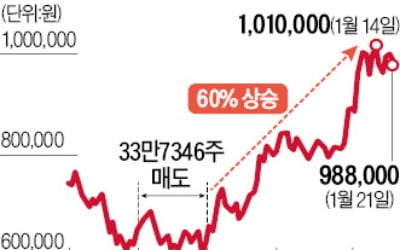 '배터리 분사' 반대표 던지더니…국민연금이 판 뒤 LG화학 60%↑