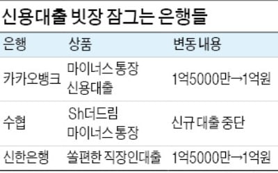 카카오뱅크도 신용대출 한도 축소