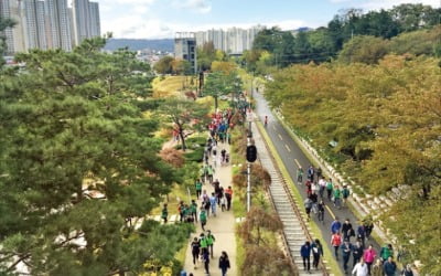 도심·해안·산림에 '그린웨이'…'녹색 도시'로 변신하는 포항