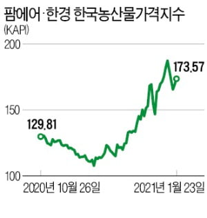 "방울토마토값 두달 뒤 67% 오른다…배추·마늘 지금 사면 손해"