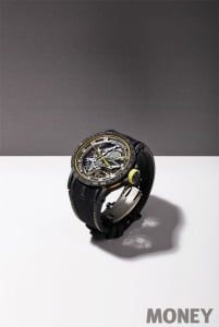 [Watch the Watches] ULTIMATE EXPERIENCE, 로저드뷔