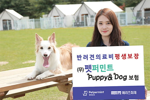 [2019 best 가족보험] 메리츠화재, 펫퍼민트 Puppy&Dog보험