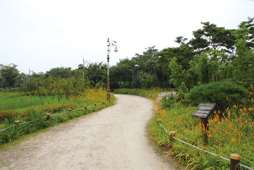 도심 속 숨겨진 숲길을 거닐다