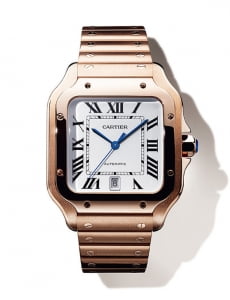 [Watch the Watches] Masculine Beauty, Santos de Cartier