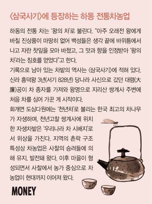 사람과 땅, 농업유산 2- 하동 전통차농업