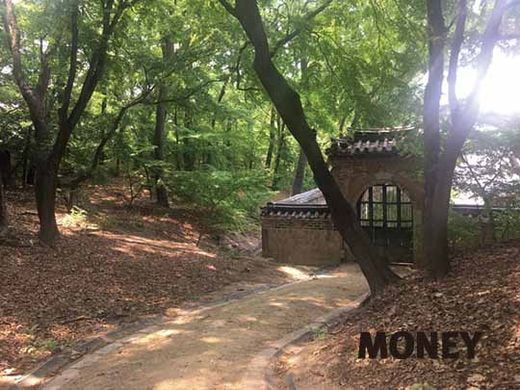 조선 궁궐 미학의 정수, 후원으로 보는 창덕궁의 멋