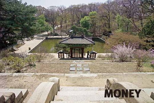 조선 궁궐 미학의 정수, 후원으로 보는 창덕궁의 멋