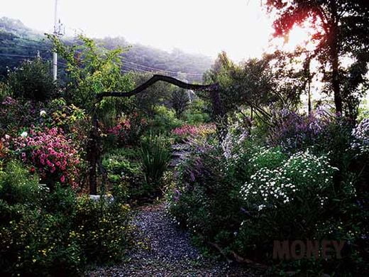 안홍선 스토리퀼트 작가의 ‘야생화 정원’을 가다