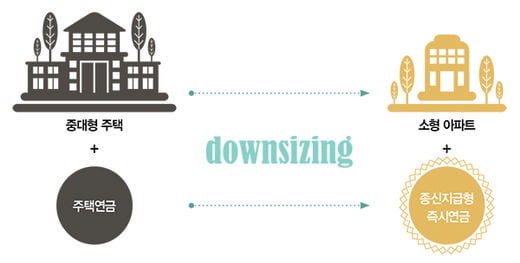 [Financial Management] 우리의 삶에도 다운사이징이 필요하다
