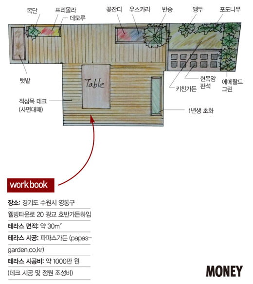 [BIG story]마당 있는 삶…두 가족의 리얼 체험기