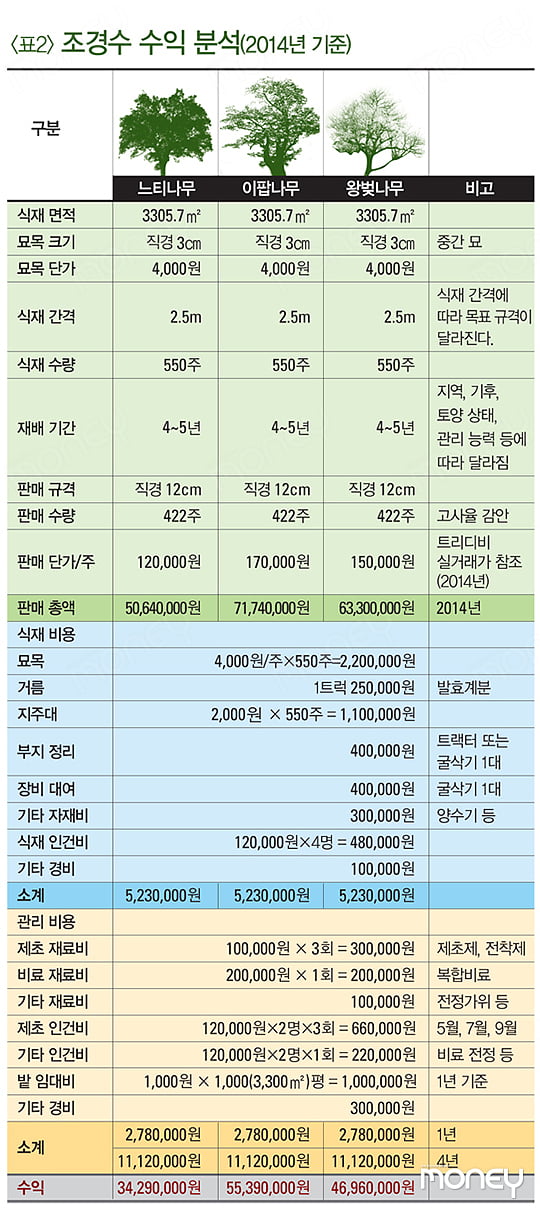 [BIG STORY] 나무도 주식과 같은 원리, 과잉 생산으로 헐값 된 수종 심어라