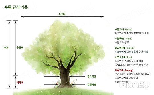[BIG STORY] 맨땅에서 ‘돈’이 되기까지 나무 재테크 A~Z