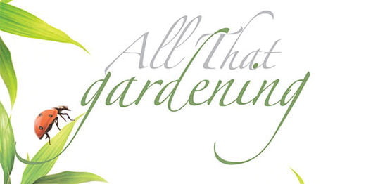 [SPECIAL THEME] 이 봄, 당신을 위한 힐링 포인트 All That gardening