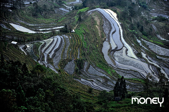 산자락을 따라 3700여 개의 논이 층층이 계단처럼 뻗어 있다(사진 중국국가여유국 제공).