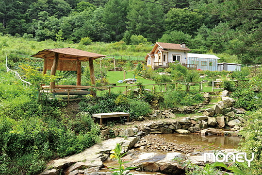 [BEST PLACE TO LIVE] 치악산 자락 별장촌 신림면을 가다