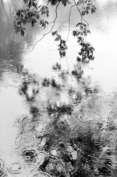 ‘Kissing Rain’, 2013년, 180x120cm, gelatin silver print