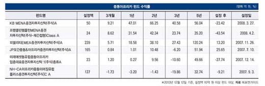 [SPECIAL REPORT] 평균 수익률 5.58%…신흥국 펀드 웃돌다