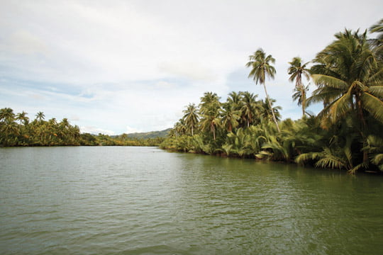 보홀을 흐르는 로복(Loboc) 강. ‘필리핀의 아마존 강’이라 불린다.
