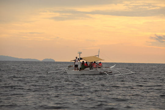 돌고래를 보기 위해 새벽 바다로 나아가는 배들.