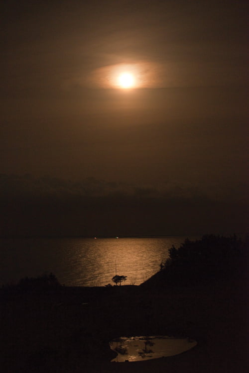 골프텔에서 바라다 보이는 달빛이 내린 동해의 밤바다.