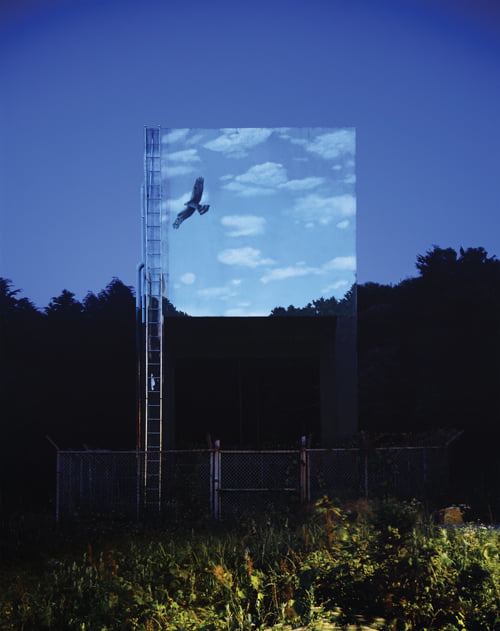 Fly High into the Blue Sky, 2012년, Chromogenic Print, 179×220cm