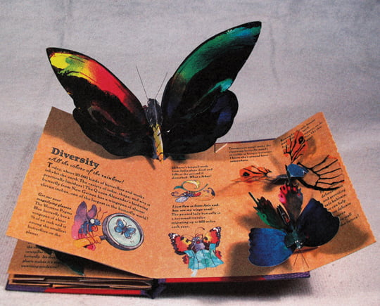 ‘나비들’, 매튜 레인하트·로버트 사부다, 2001년