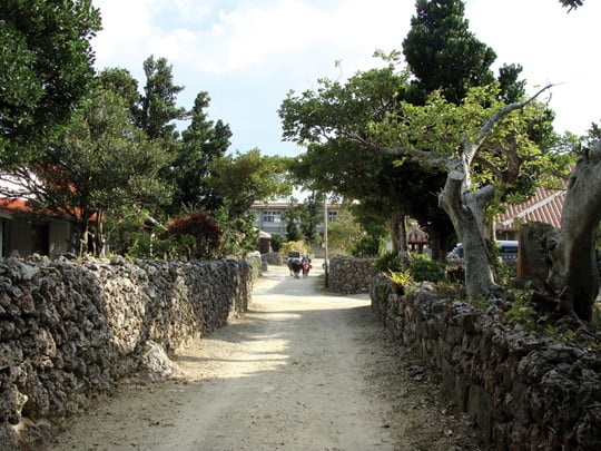 다케토미섬 마을 전경.