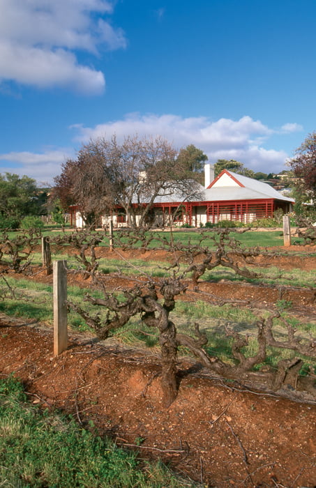 [Wine Story] 168년 전통의 호주 대표 프리미엄 와인 펜폴즈