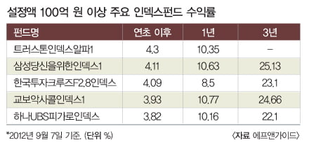 인덱스펀드가 올 한 해 뛰어난 성과를 이어갈 수 있었던 데에는 글로벌 자금 유입에 따른 대형주 위주의 상승세가 큰 영향을 미쳤다.