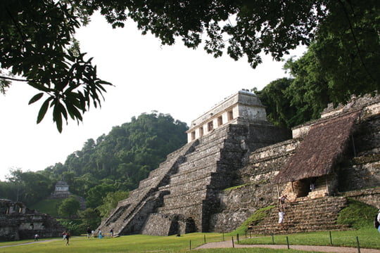 멕시코 남부 지방 티칼의 피라미드는 밀림 속에 있다. 이곳 피라미드의 꼭대기에는 신전 시설이 남아 있어 멕시코 피라미드의 역할을 짐작할 수 있다.