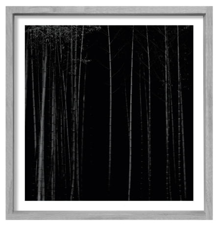 흑과 백 바탕의 대나무 작품. 검은색 바탕의 대나무 작품은 특히 미술 애호가들 사이에 인기가 높다.