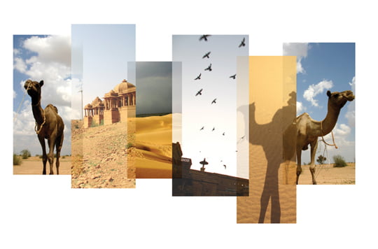 [The Explorer] 사막 황금 도시의 밀리언 스타 호텔 Jaisalmer