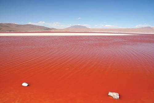 석양을 받은 붉은 호수는 피 같은 선홍색을 띠었다.