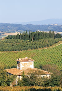 702년 역사를 가진 프레스코발디가는 전통에 안주하지 않고 과감한 혁신으로 이탈리아 와인 산업을 이끌고 있다.