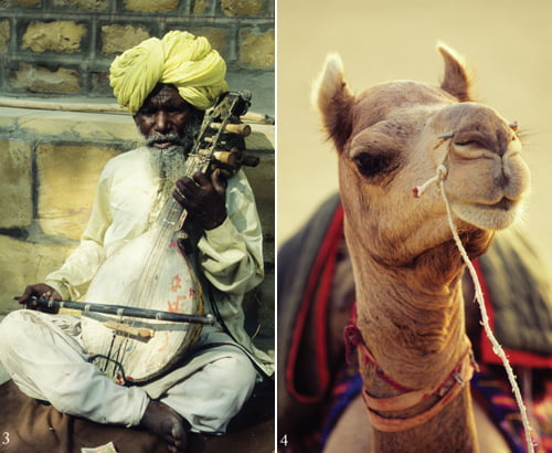 3 자이살메르 성 앞에서 만난 노인 악공. 관광객에게 구슬픈 라자스탄 음악을 들려준다. 4 사막의 배라 불리는 낙타. 낙타를 타고 하루를 보내는 일은 기억에 남을 만한 추억이 된다.