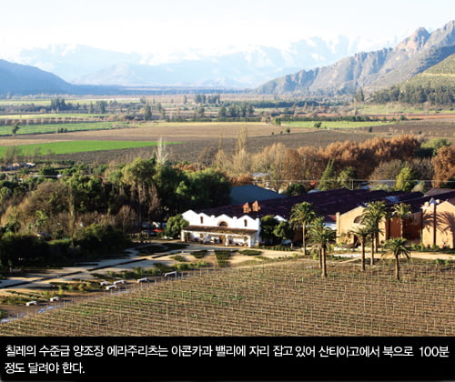 [Winery Tour] 신대륙 와인이 기다리는 칠레로의 초대