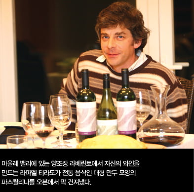 [Winery Tour] 신대륙 와인이 기다리는 칠레로의 초대