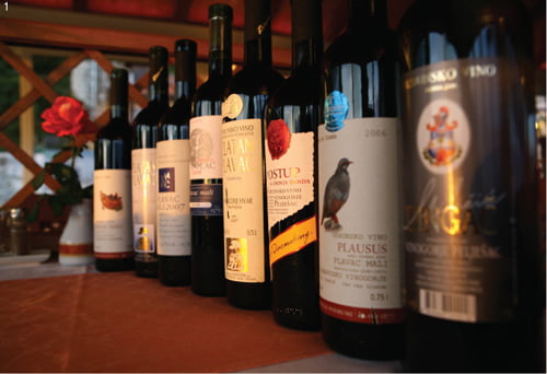 크로아티아의 대표적 레드 와인 품종 플라바츠 말리로 만든 와인들